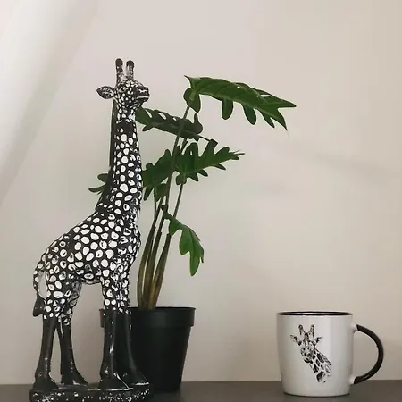 Le De La Girafe Centre